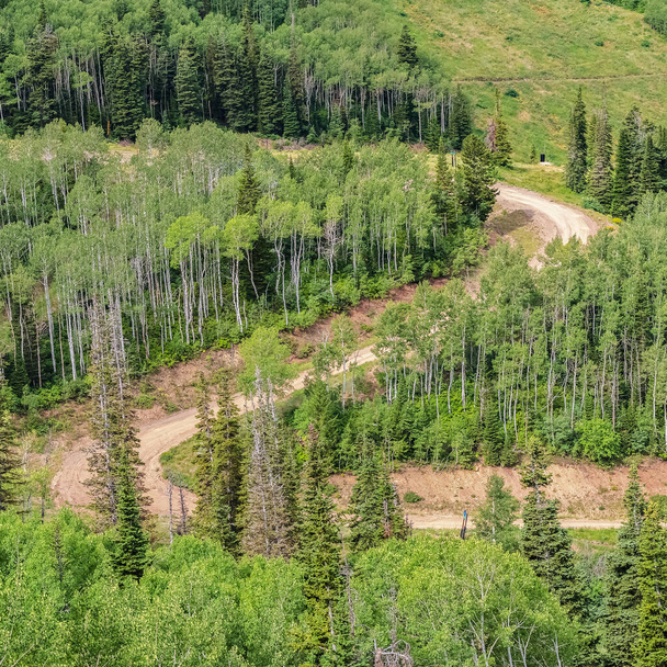 Square Winding hiking trails amid green conifers in Park City ski resort at off season - Photo, Image