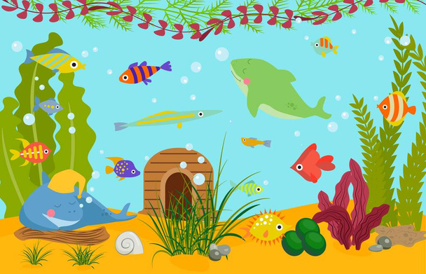 Tropical fishes underwater world wildlife sea, ocean, marine, aquarium vector illustration. Colorful funny cartoon decorative fishes and algae aquatic life wallpaper. - Vettoriali, immagini