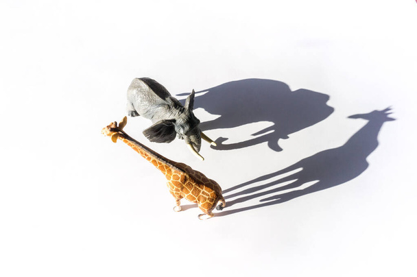 figure of an animal on a white background. Shadow elephant and giraffe. - 写真・画像