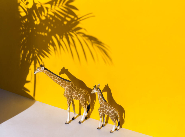 figure of an animal on a yellow background. Shadow palm tree and giraffe. Copy space - Foto, Imagen