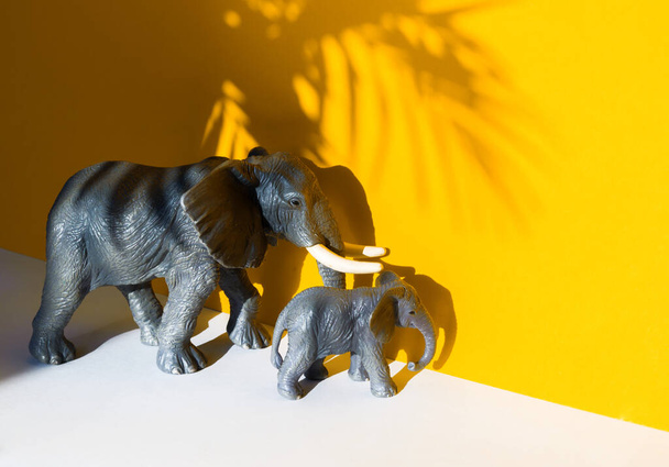 Figure of an animal on a yellow background. Shadow from the Elephant. - Fotoğraf, Görsel