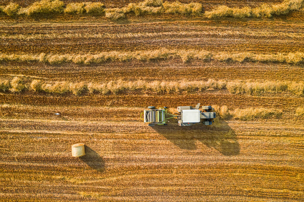 Top down view of tractor collecting and pressing hay - Photo, image
