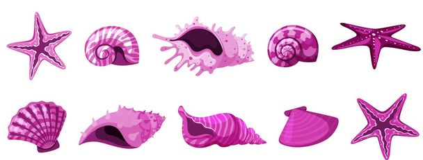 Set of isolated seashells in pink color - Vector, Image