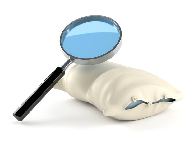 Magnifying glass with pillow - Photo, Image
