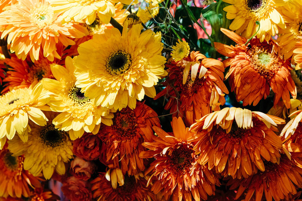 Renkli çiçek arkaplanının resmi.  - Fotoğraf, Görsel