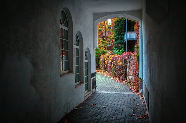 秋の庭への歩道トンネルの通路 - 写真・画像
