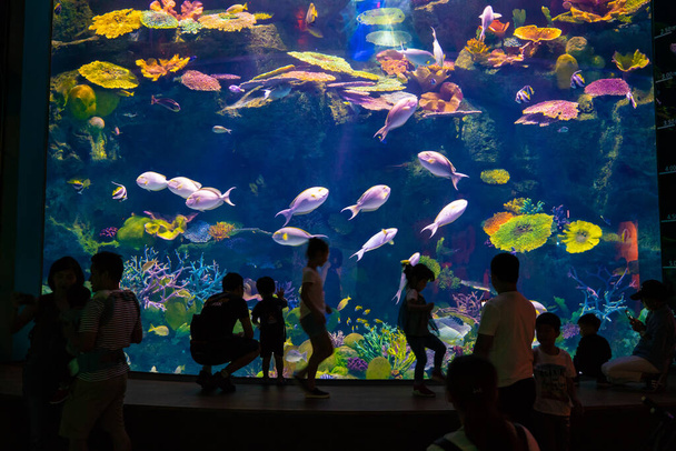 Silhouet groep mensen met familie voor aquarium tank - Foto, afbeelding
