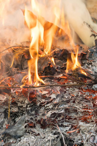 Горящие листья. Пожар в лесу. Дым от горящих листьев.  - Фото, изображение