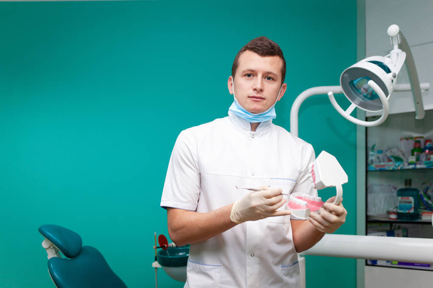 Portrait of a dentist doctor who holds in hands jaw model to simulate proper brushing - Zdjęcie, obraz