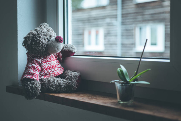Cute teddy bear is sitting on the windowsill, looking out of the window - Zdjęcie, obraz