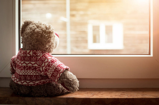 Cute teddy bear is sitting on the windowsill, looking out of the window, sunlight - Foto, afbeelding