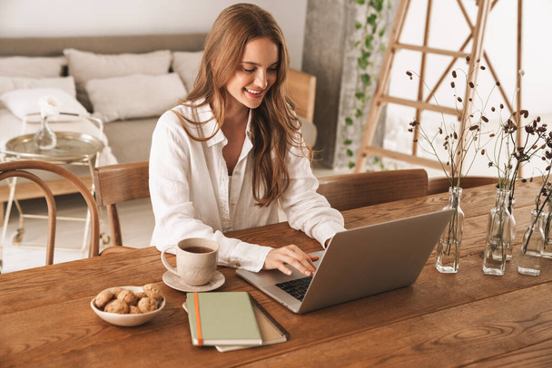 Business woman sit indoors in office using laptop computer. - Φωτογραφία, εικόνα