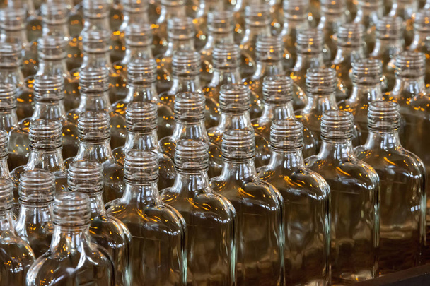 Trabajos de vidrio. Industria del vidrio. Muchas botellas de vidrio en un transportador de fábrica en una fila
 - Foto, imagen