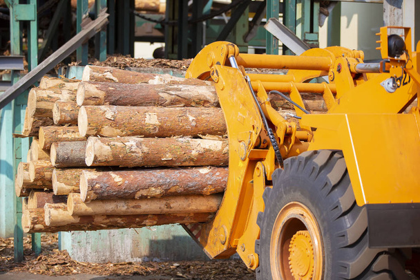 Holzverarbeitende Industrie. Lader mit Baumstämmen. industrielle Holzverarbeitung - Foto, Bild