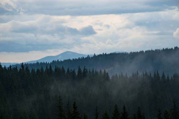Karpatské hory krajina video záběry v dešti s mlhou - Fotografie, Obrázek