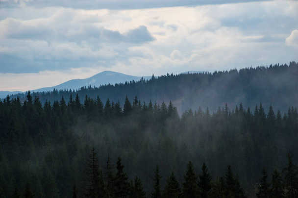 Καρπάθια βουνά τοπίο βίντεο στη βροχή με ομίχλη - Φωτογραφία, εικόνα