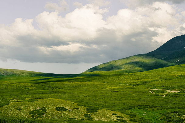 Μαλακοί λόφοι με πράσινο γρασίδι κάτω από συννεφιασμένο ουρανό - Φωτογραφία, εικόνα