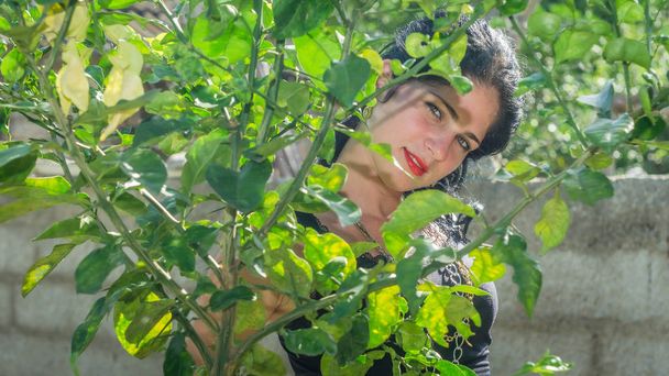 Carino ragazza cubana nel cortile della sua casa
 - Foto, immagini