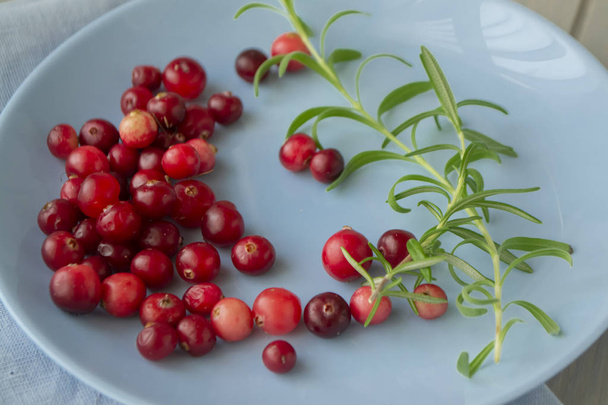 Natural organic cranberry berries in bright red color on blue plate. - Photo, Image