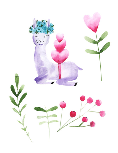 Ilustración de dibujo acuarela animal alpaca entre flores y plantas sobre un fondo aislado
. - Foto, Imagen