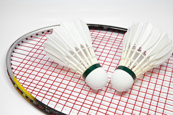 badminton - Foto, Imagem