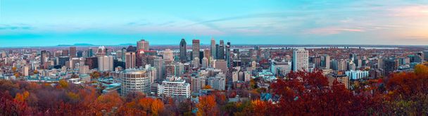Montreal centrum západu slunce s barevnými podzimními listy. - Fotografie, Obrázek