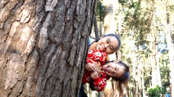 glückliche asiatische Mutter und Tochter, die an einem Wintertag hinter einem Baum im Kiefernwald hervorlugen und lächeln. - Filmmaterial, Video