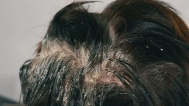 Les racines grises envahies d'une femme d'âge moyen qui se coiffe elle-même avec une brosse spéciale, regardent de près. Cheveux foncés et racines blanches d'une tête de femme sur fond blanc. Soins capillaires vue rapprochée
 - Séquence, vidéo