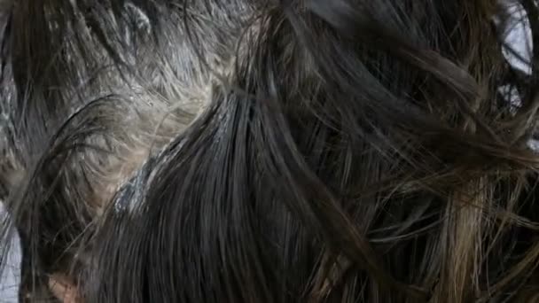 Cabello gris en las raíces de las mujeres, que a su vez tiñe el cabello con pintura especial y pincel en casa
 - Metraje, vídeo