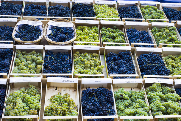 druiven voor verkoop in markt - Foto, afbeelding