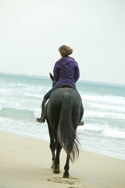 jezdecká dívka a kůň - Fotografie, Obrázek