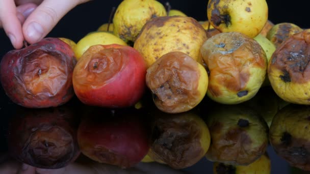 Multicolorido podre estragado amadurecido maçãs no fundo preto
. - Filmagem, Vídeo