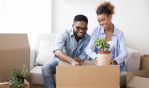 Couple Packing Plant In Moving Box Sitting On Sofa Indoor - 写真・画像