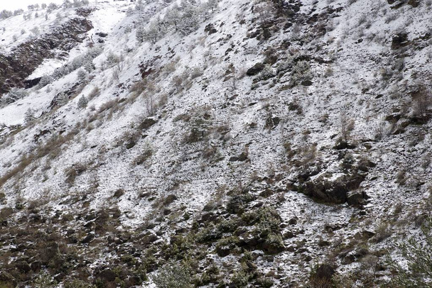Invierno en los Pirineos
 - Foto, imagen