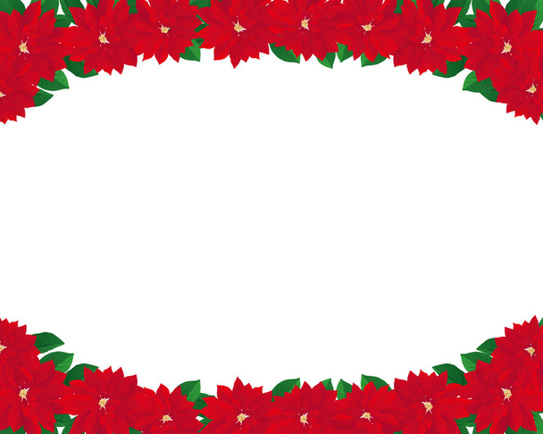 holy background illustration of poinsettias - Vector, Image