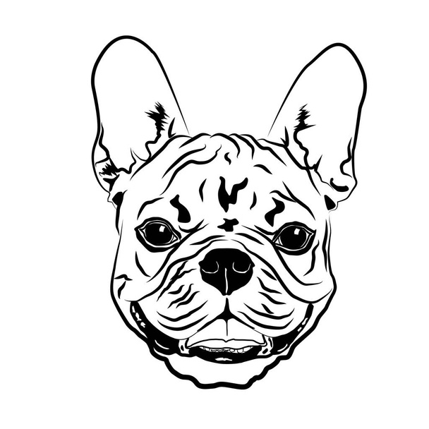 Contour du portrait de la tête, croquis de l'illustration vectorielle de la silhouette du chien bouledogue français
. - Vecteur, image