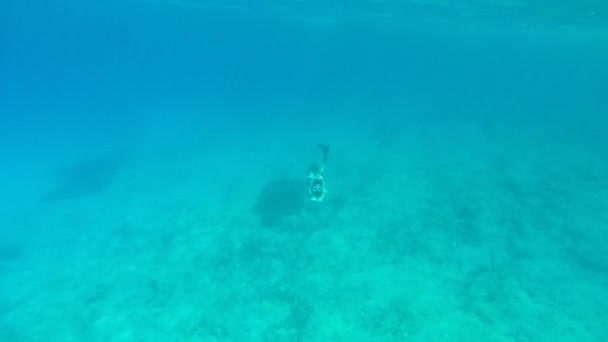 Hombre snorkel y aleteo bajo el agua
 - Metraje, vídeo