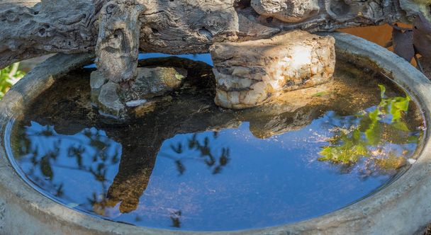 Riflessioni del cielo nell'acqua di una vasca per uccelli in un giardino urbano immagine con spazio copia in formato orizzontale
 - Foto, immagini
