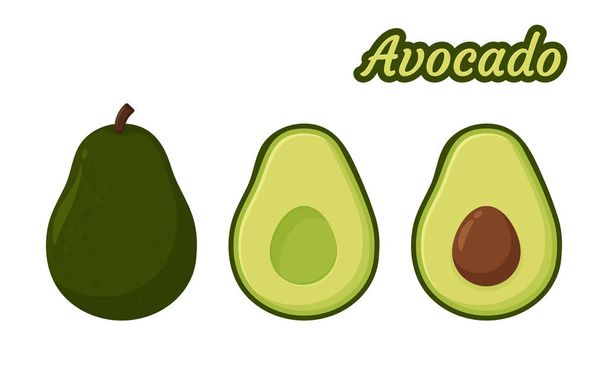 Avocado Vector. Healthy fruit avocado That was cut in half until the seed could be seen inside. - ベクター画像
