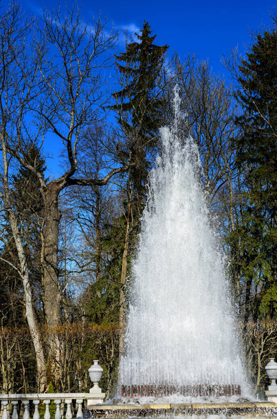 Fontana con luce splendente in primavera con rami
 - Foto, immagini