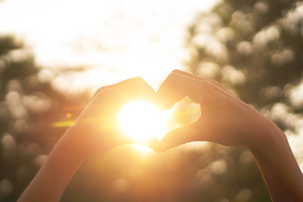 Female hands heart shape on nature bokeh sun light flare and blur leaf abstract background. - 写真・画像
