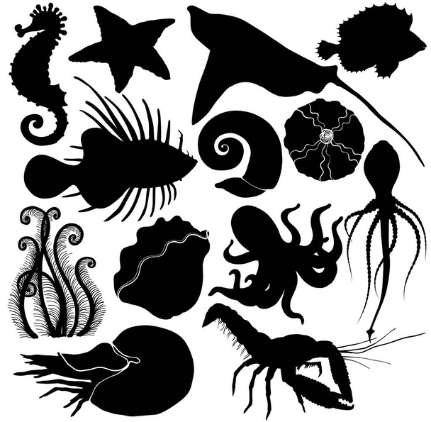 Silhouette Set with marine life organisms. - Vetor, Imagem