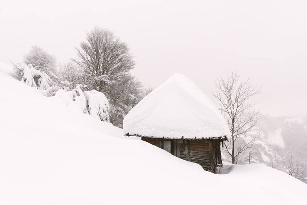 Minimalistic winter landscape with wooden house - Foto, imagen