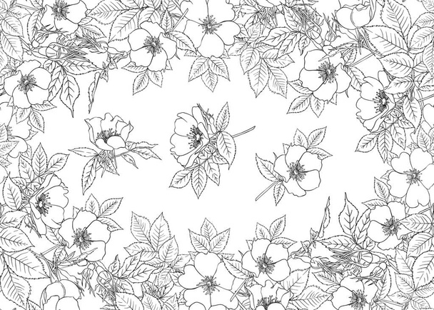 Seamless pattern, background with dog-rose, bria - Vektori, kuva