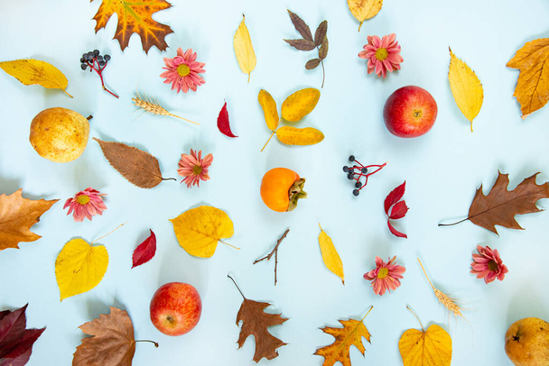 色とりどりの秋の果物や葉が薄緑色の背景に散りばめられたトップビュー.  - 写真・画像