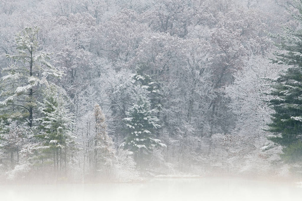 Осенний пейзаж в тумане снега стекался по береговой линии озера Холл, парк Янки Спрингс, Мичиган, США
 - Фото, изображение