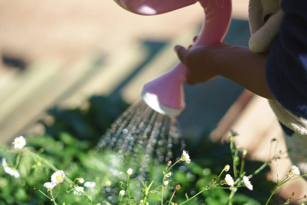 Jonge hand water geven bloem - Foto, afbeelding