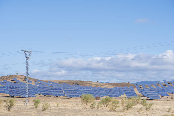 paneles solares con campo de rastreo para generar energía sostenible
 - Foto, imagen