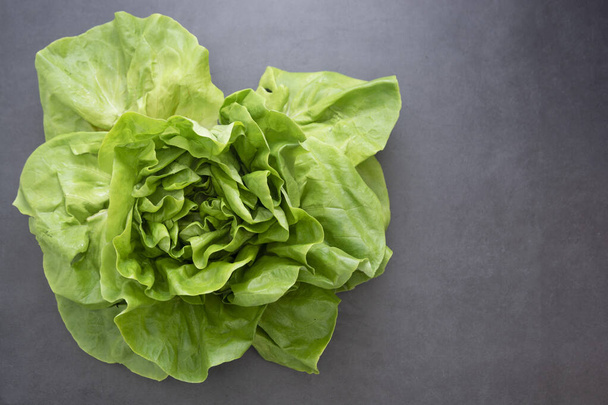Cabbage round fresh lettuce isolated on dark background with copy space. Salat lettuce. Healthy food. - Фото, изображение