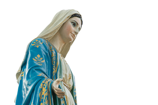 Our lady, The blessed Virgin Mary on white background. - 写真・画像